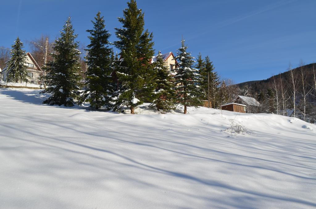 Dom Na Mosornym Groniu Villa Завоя Екстериор снимка